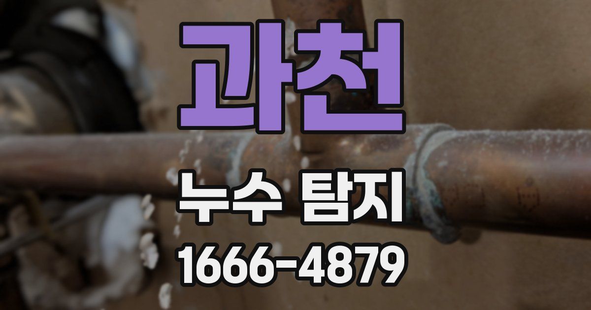 과천 누수 탐지