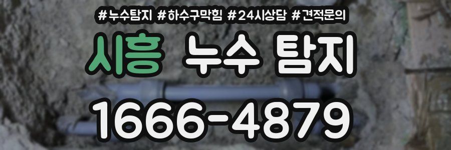 시흥 누수 탐지