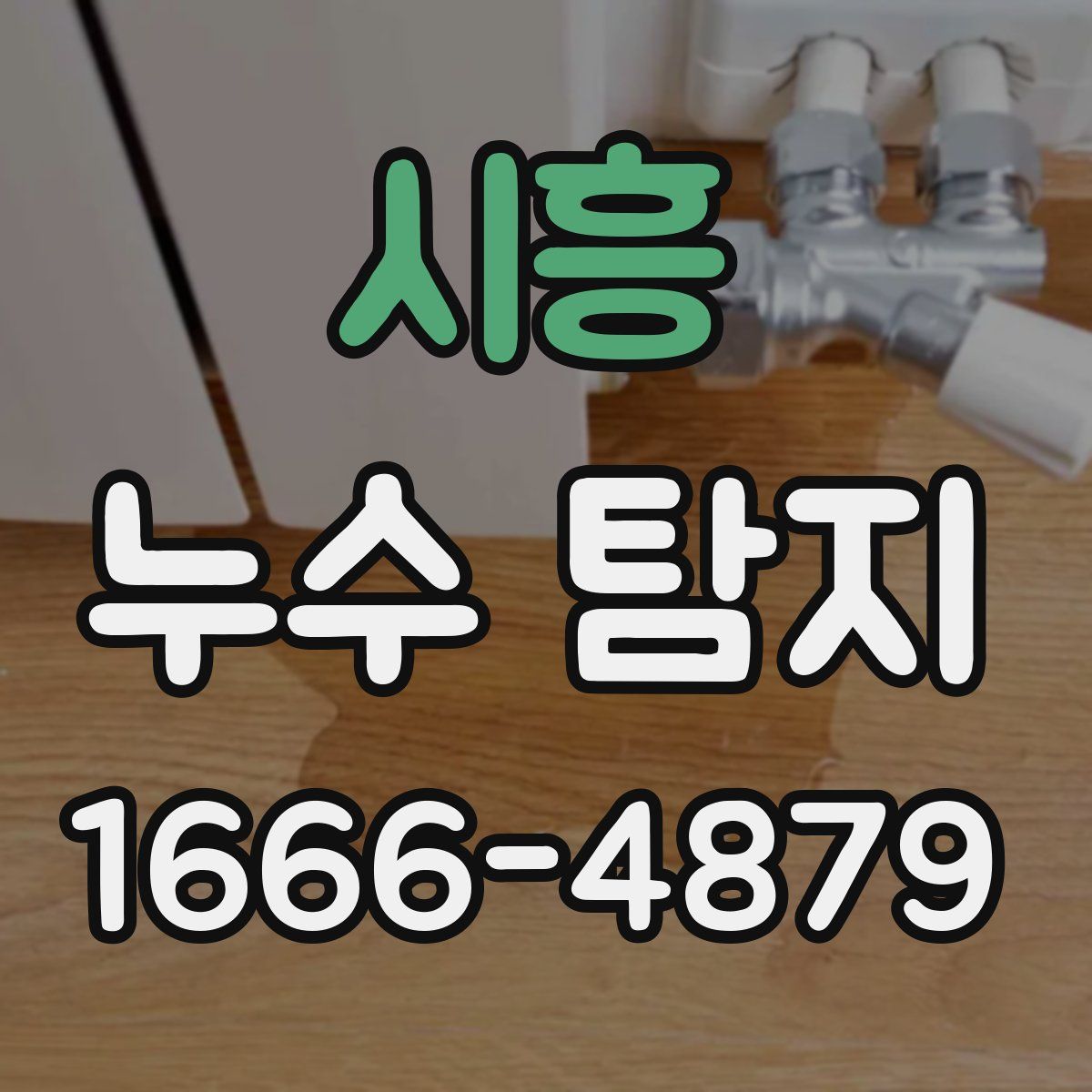 시흥 누수 탐지