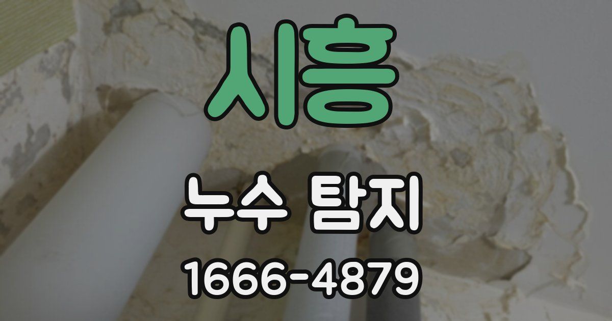 시흥 누수 탐지