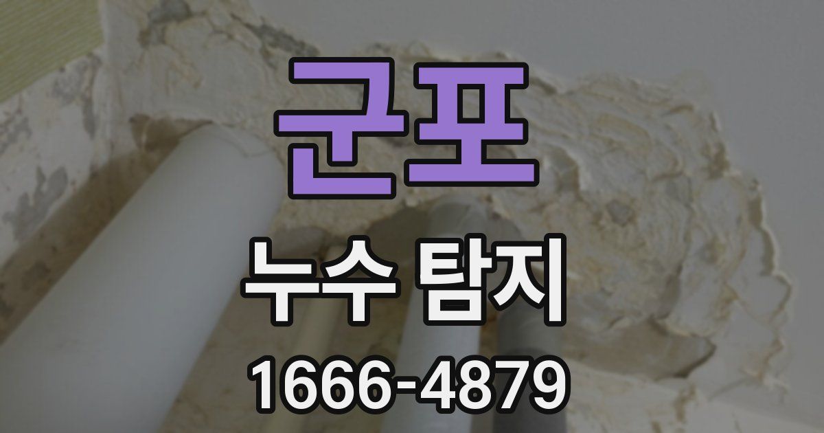 군포 누수 탐지