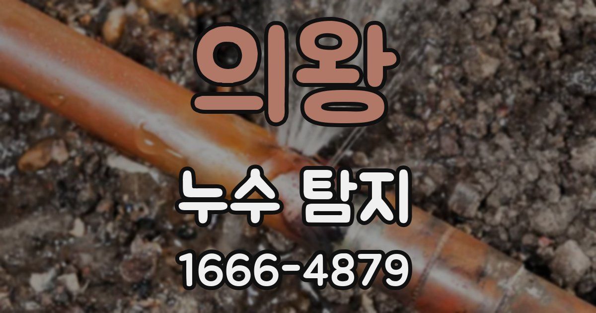 의왕 누수 탐지
