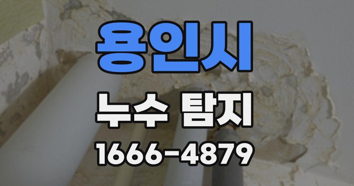 용인시 누수 탐지