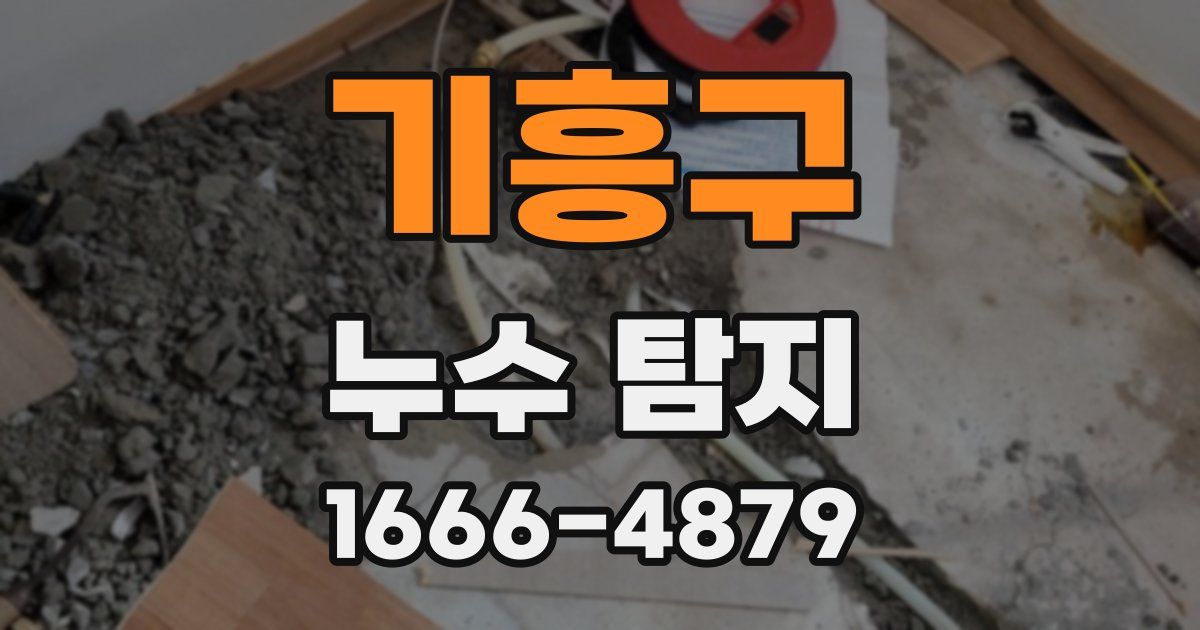 기흥구 누수 탐지