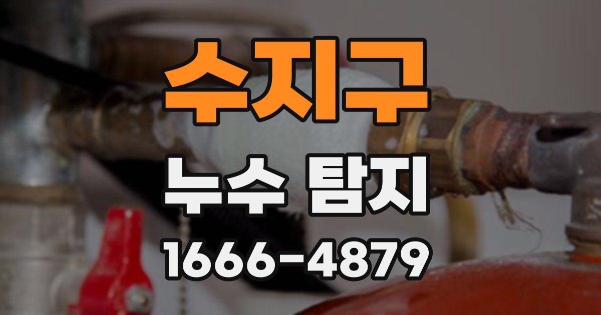 수지구 누수 탐지