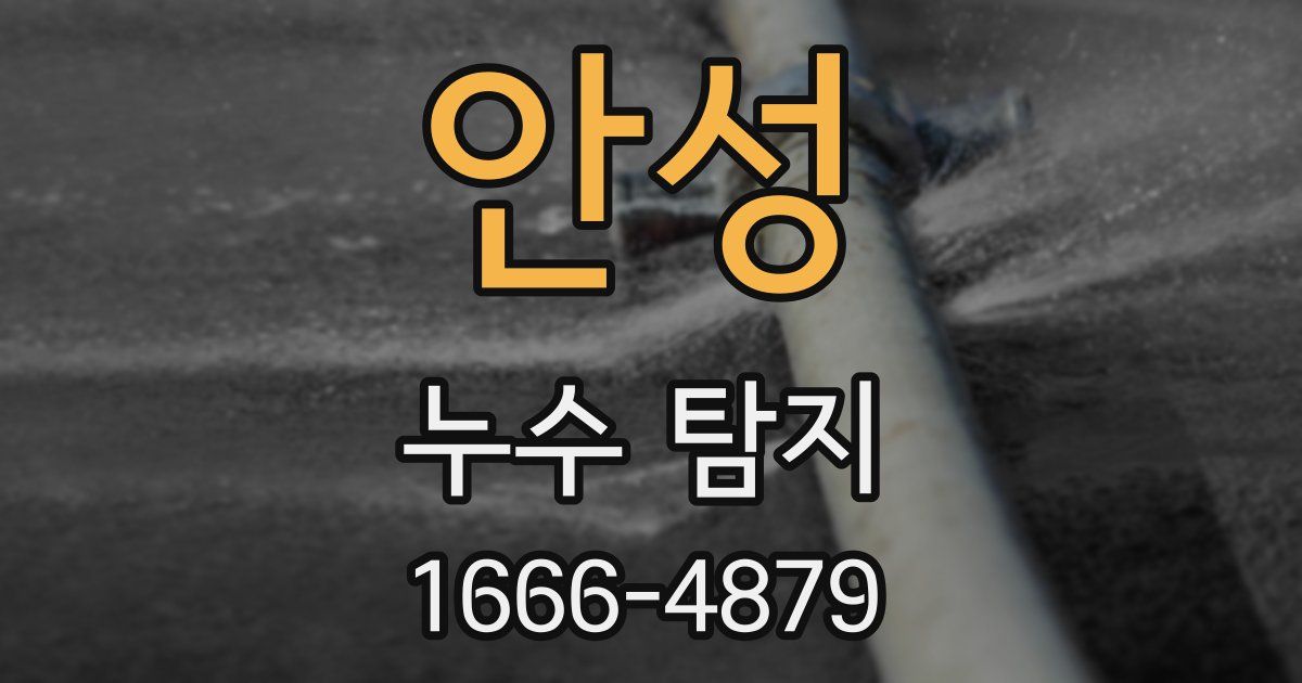 안성 누수 탐지