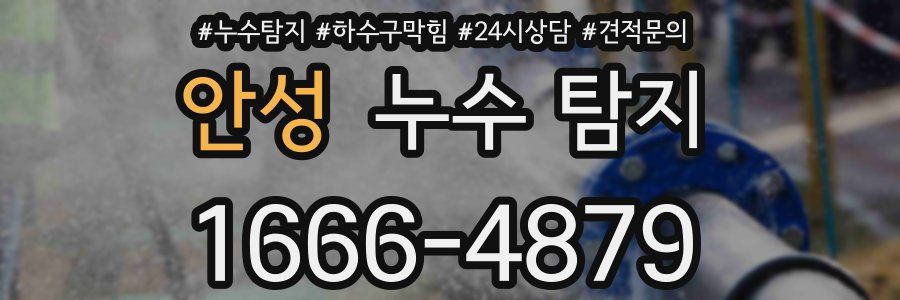 안성 누수 탐지