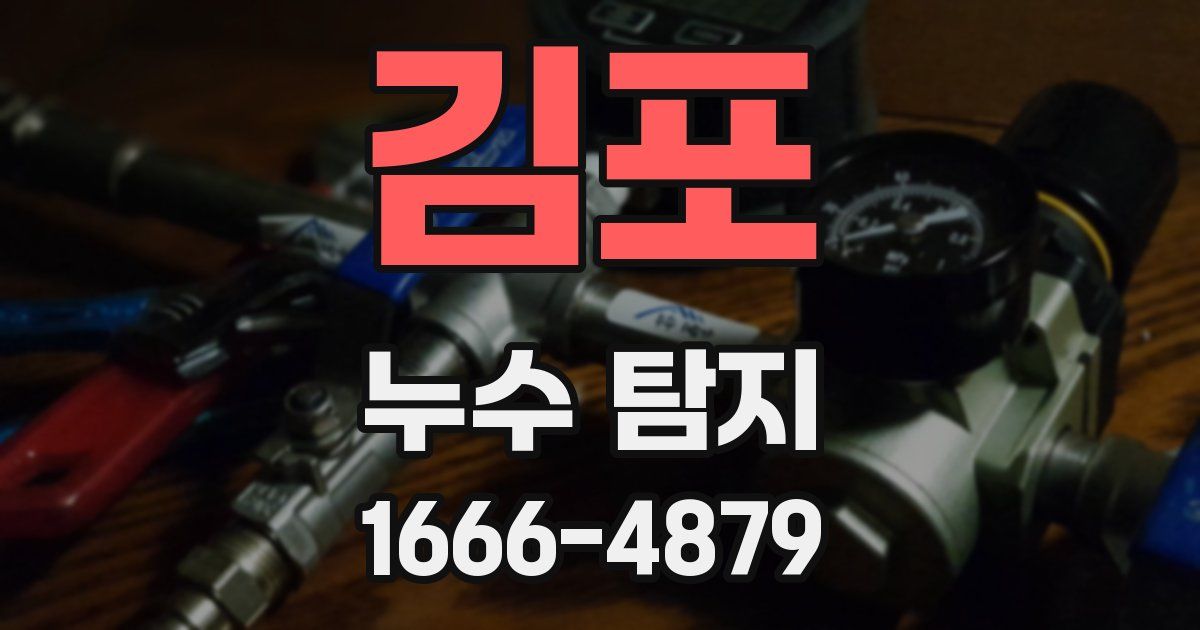 김포 누수 탐지