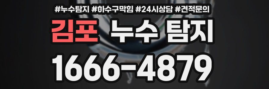 김포 누수 탐지