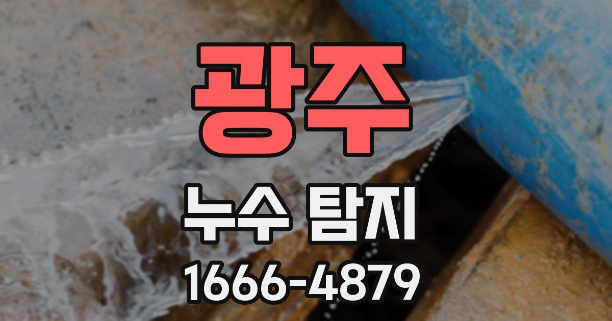 광주 누수 탐지