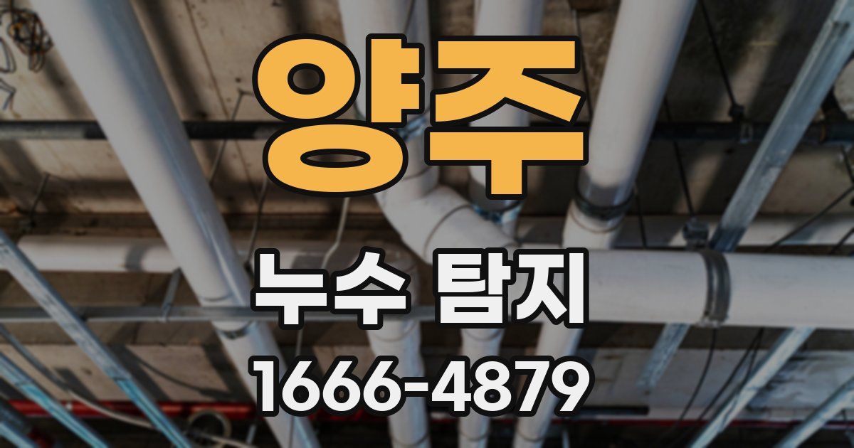 양주 누수 탐지