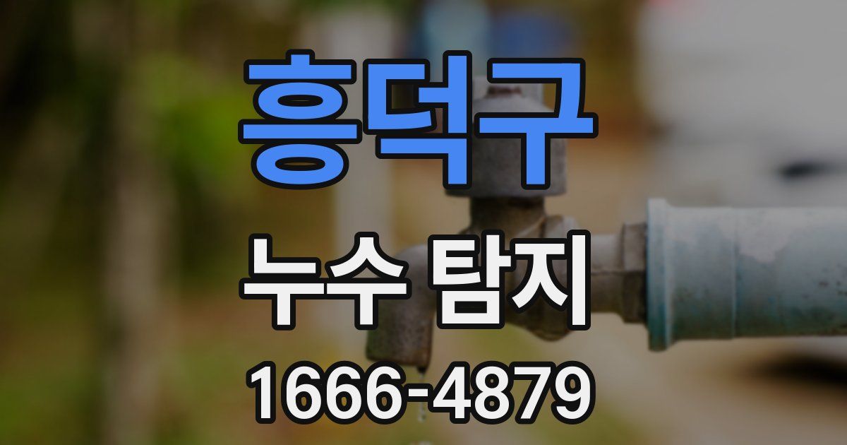 흥덕구 누수 탐지