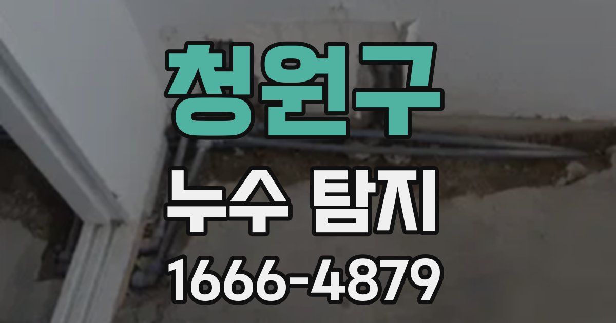 청원구 누수 탐지