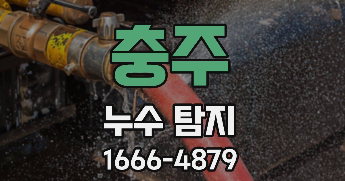 충주 누수 탐지