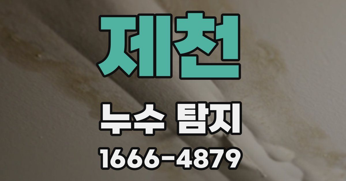 제천 누수 탐지