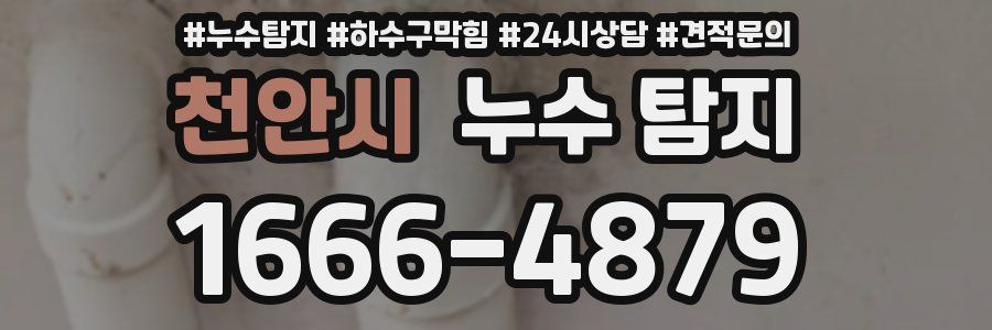 천안시 누수 탐지