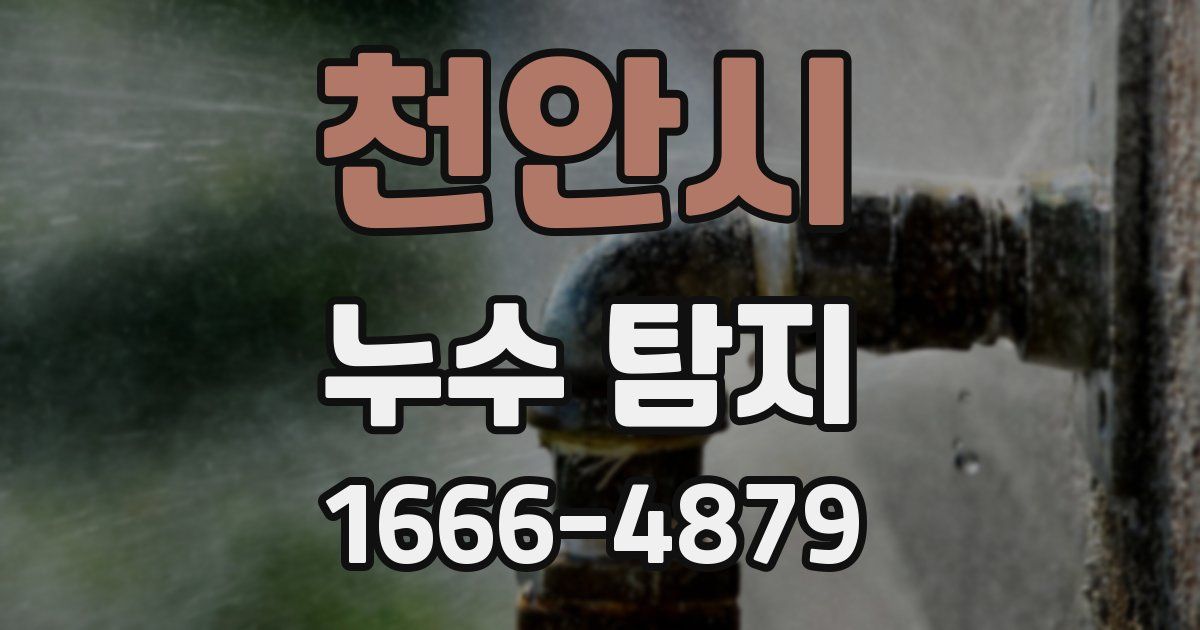 천안시 누수 탐지