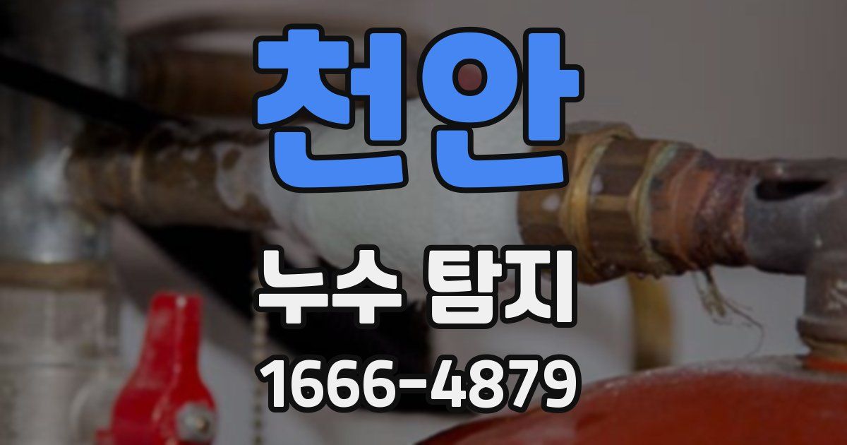 천안 누수 탐지