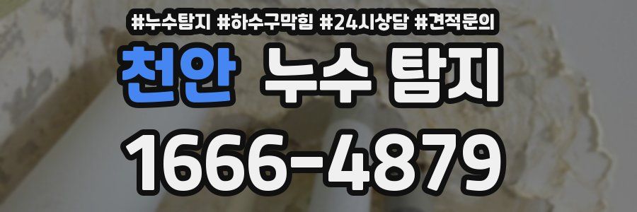 천안 누수 탐지