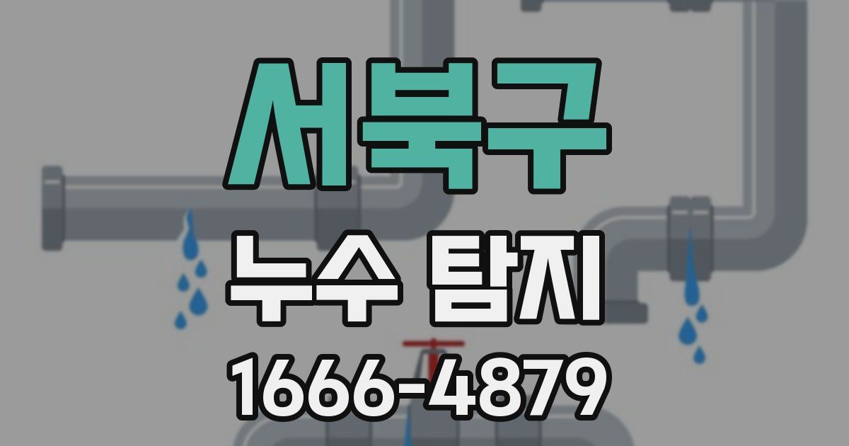 서북구 누수 탐지