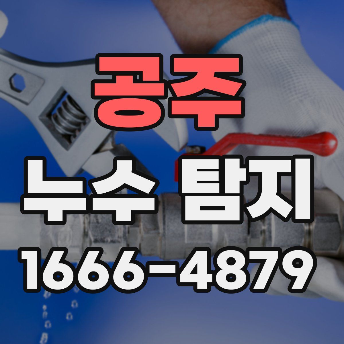 공주 누수 탐지