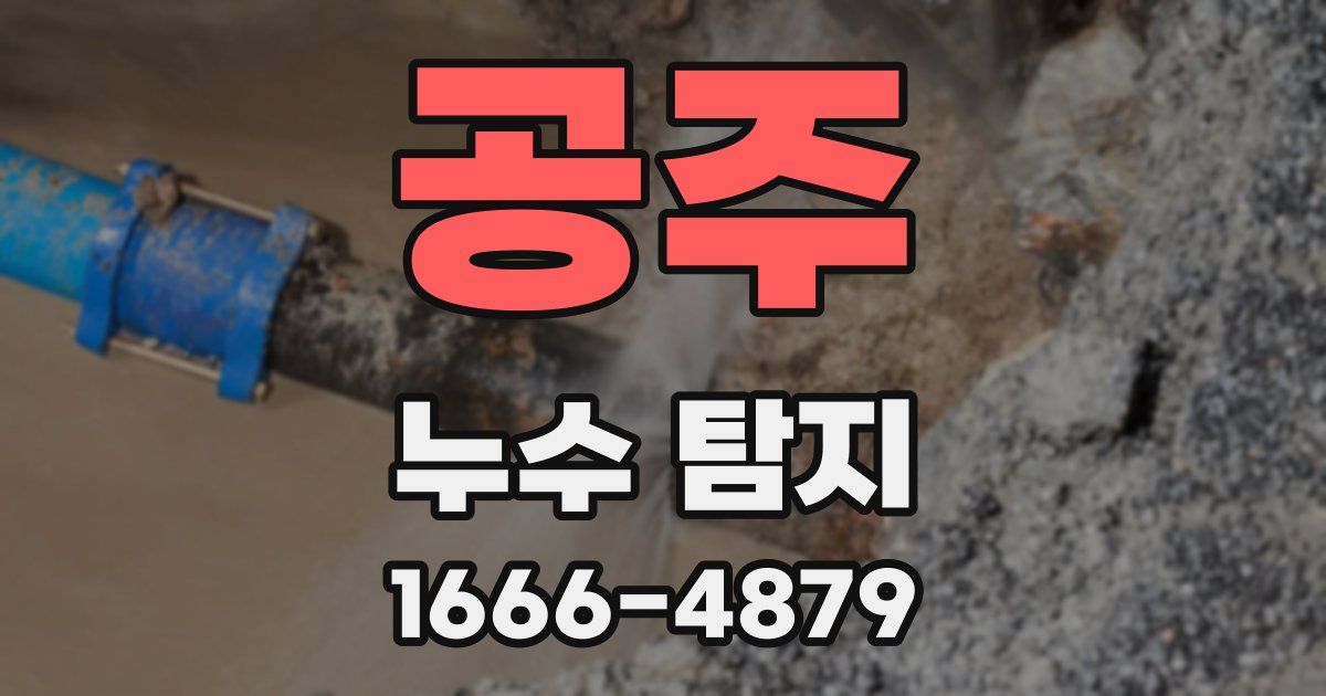 공주 누수 탐지