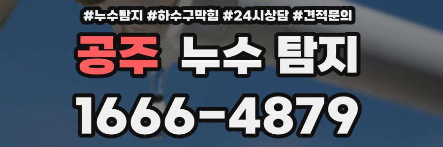 공주 누수 탐지