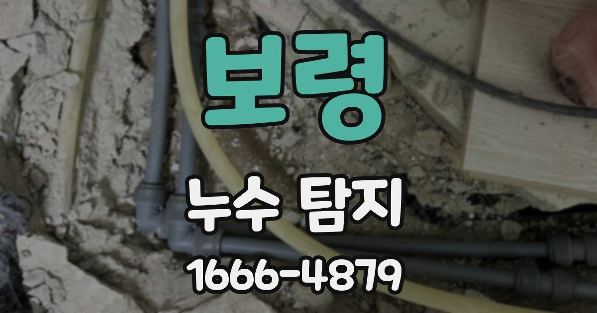 보령 누수 탐지