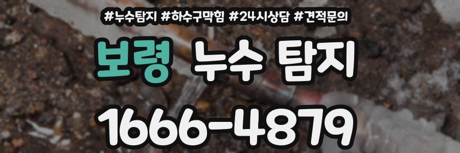 보령 누수 탐지