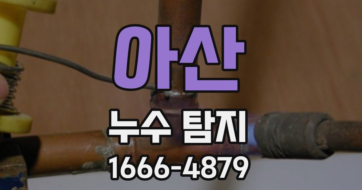 아산 누수 탐지