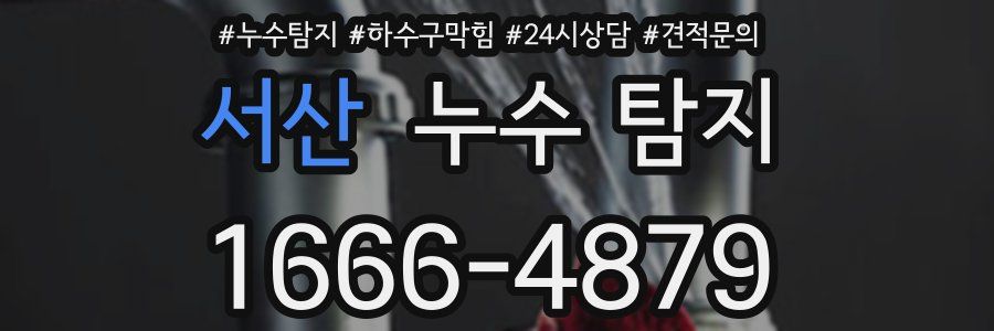 서산 누수 탐지