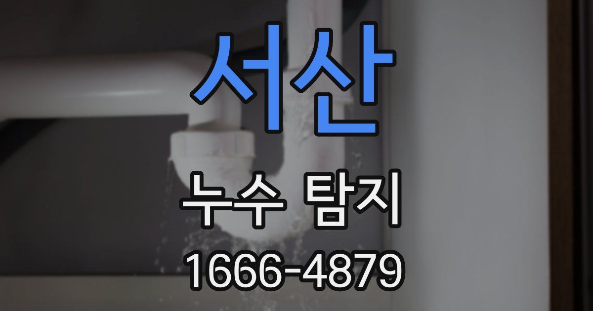 서산 누수 탐지