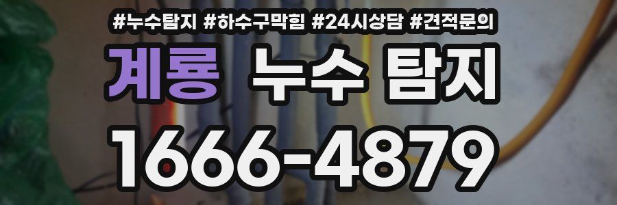 계룡 누수 탐지