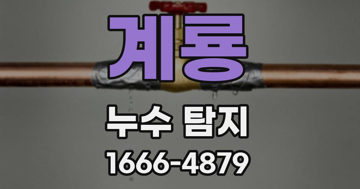 계룡 누수 탐지