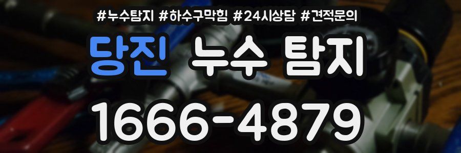 당진 누수 탐지