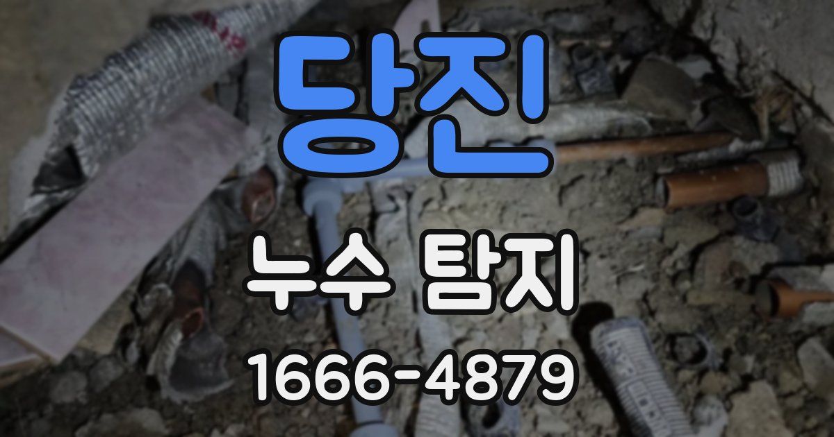 당진 누수 탐지