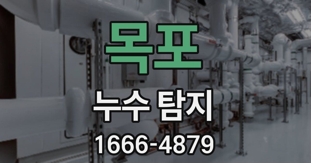 목포 누수 탐지