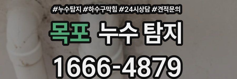 목포 누수 탐지