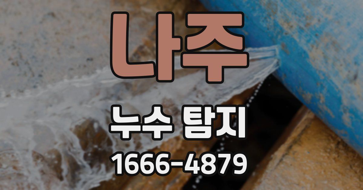 나주 누수 탐지