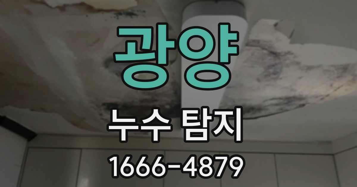 광양 누수 탐지