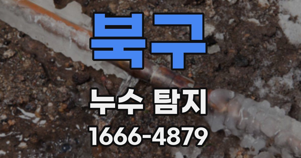 북구 누수 탐지