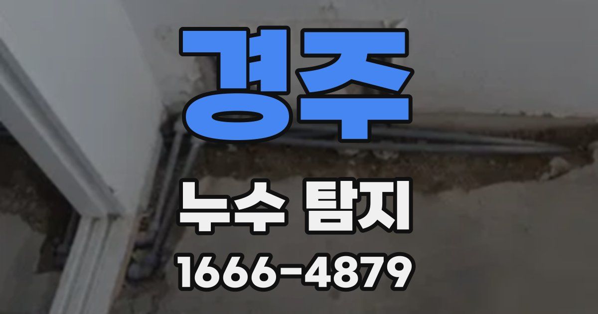경주 누수 탐지
