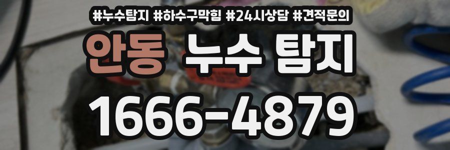 안동 누수 탐지