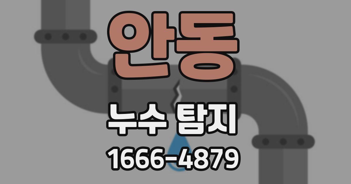 안동 누수 탐지