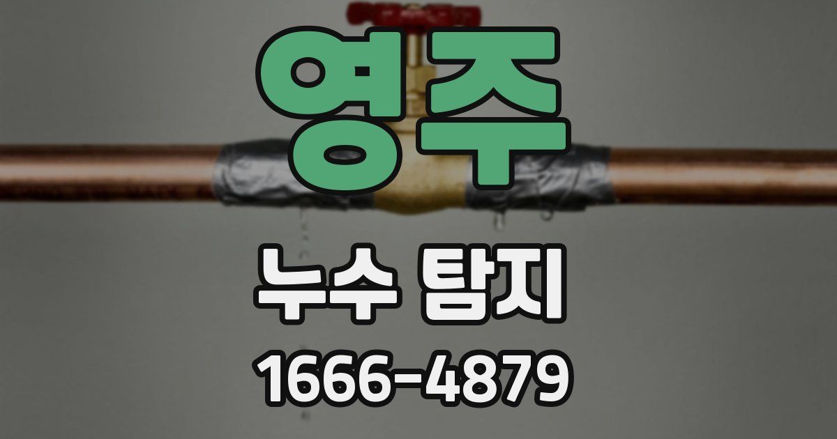영주 누수 탐지