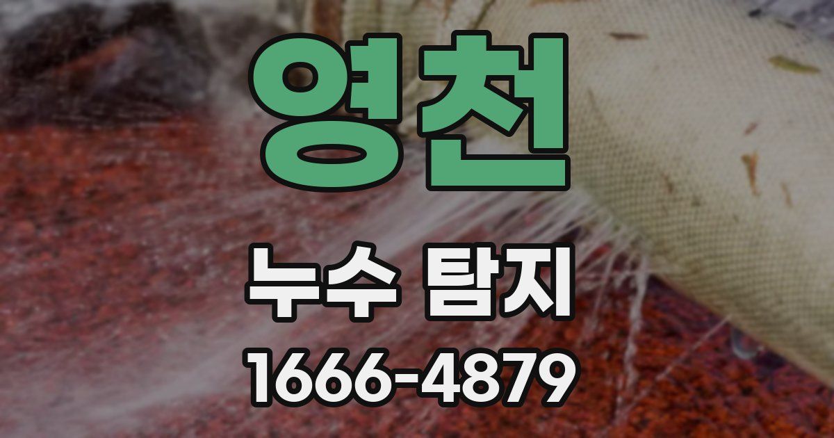 영천 누수 탐지