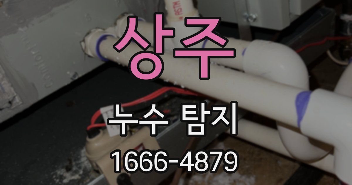 상주 누수 탐지