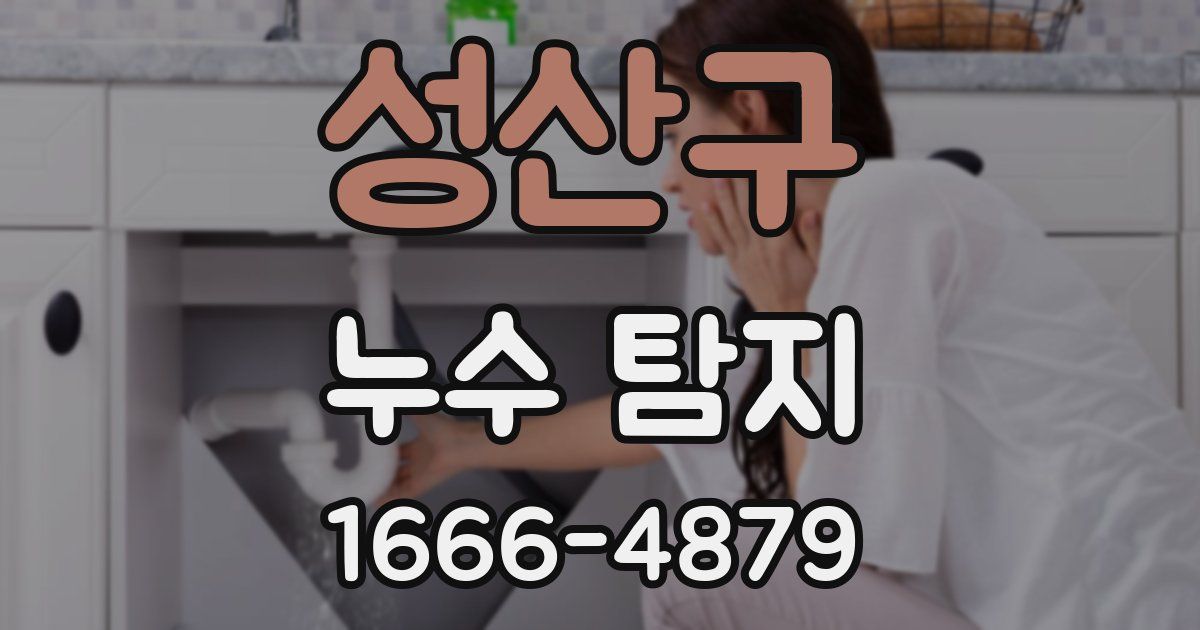 성산구 누수 탐지