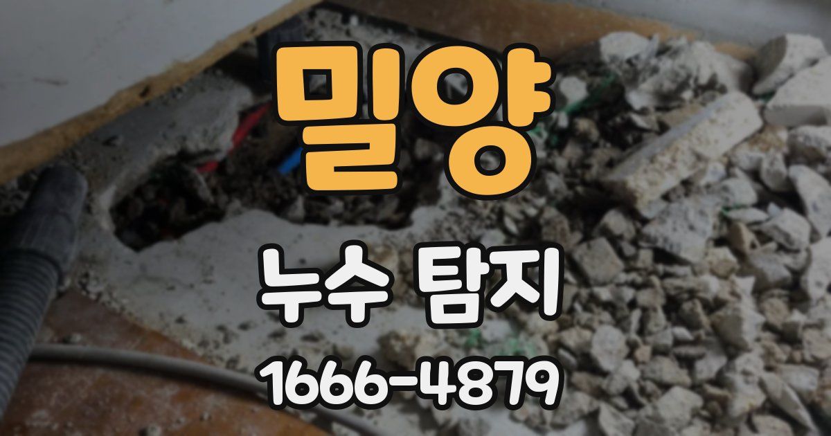 밀양 누수 탐지