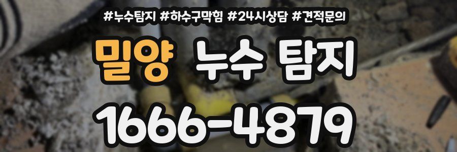밀양 누수 탐지